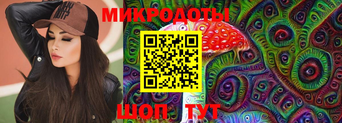 Псилоцибиновые грибы Psilocybe Тавда